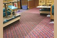 Carpet And Furniture Cleaning
